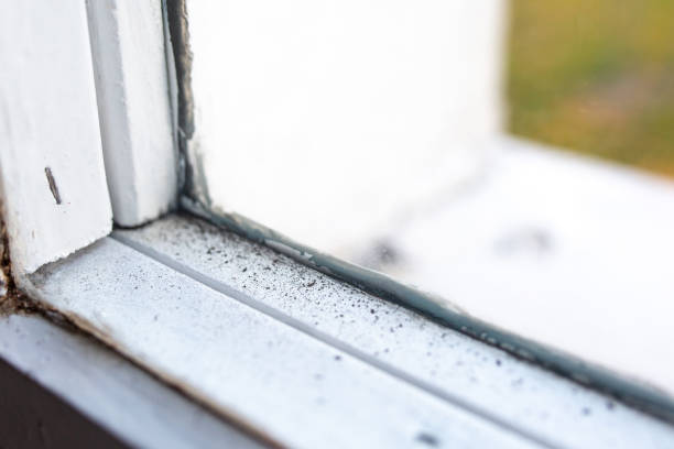 Best Residential Mold Inspection & Testing  in Archdale, NC