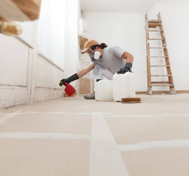 Best Biohazard Mold Removal  in Archdale, NC